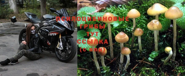 метадон Краснослободск