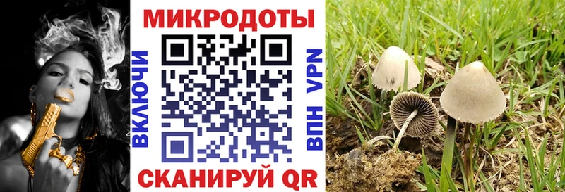 Псилоцибиновые грибы GOLDEN TEACHER Шацк